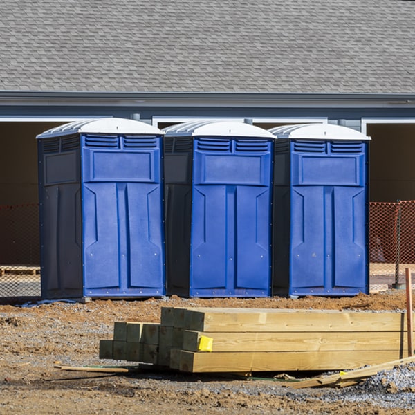 how often are the porta potties cleaned and serviced during a rental period in Canajoharie New York